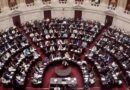 Diputados declaró la nulidad del decreto que suspendió la Ley de Emergencia en Discapacidad