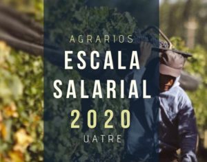 Escala Salarial 2020