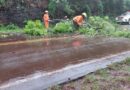 El temporal dejó caída de árboles, desbordes de arroyos, y voladuras de techo