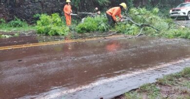 El temporal dejó caída de árboles, desbordes de arroyos, y voladuras de techo