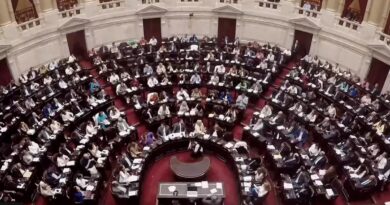 EN VIVO: Se debate la nueva Ley Ómnibus en Diputados