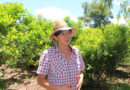 La provincia tendrá el Día de la Mujer Rural Misionera