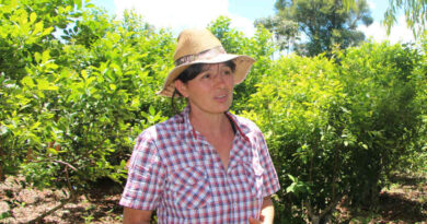 La provincia tendrá el Día de la Mujer Rural Misionera