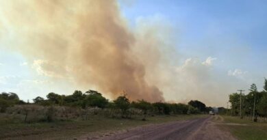 Corrientes: en 48 horas se quemó toda una reserva provincial