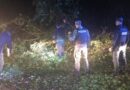 Cinco localidades misioneras se vieron afectadas por el temporal