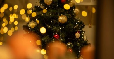 Así estará el tiempo en Misiones en nochebuena y Navidad