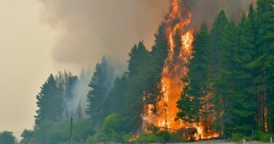 Crece la preocupación por el avance del fuego en Chubut