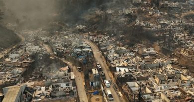 Hay al menos 16 muertos por los incendios forestales en Chile