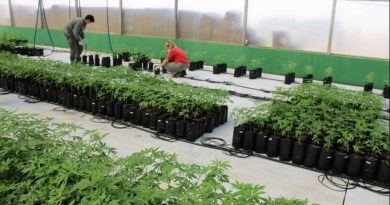 Misiones disuelve MisioPharma